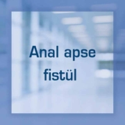 Anal apse fistül
