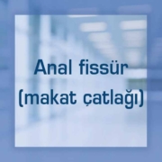 Anal fissür (makat çatlağı)
