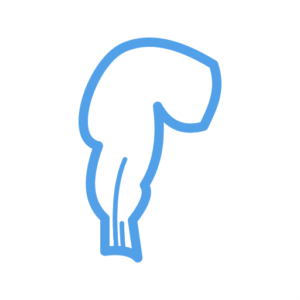 Laparoskopik Kolesistektomi