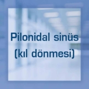Pilonidal sinüs (kıl dönmesi)
