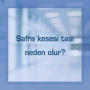 Safra kesesi taşı neden olur?