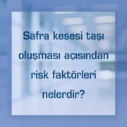 Safra kesesi taşı oluşması açısından risk faktörleri nelerdir