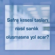 Safra kesesi taşları nasıl sarılık oluşmasına yol açar