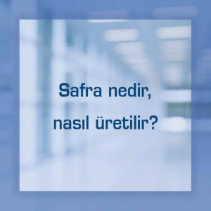 Safra nedir, nasıl üretilir?