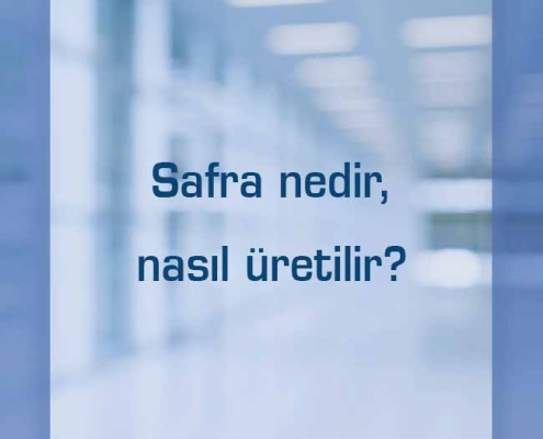 Safra nedir, nasıl üretilir?