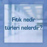 Fıtık Nedir