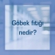 Göbek fıtığı nedir?