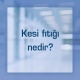 Kesi fıtığı nedir?
